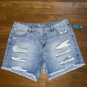 Wild Fable Distressed Denim Short: Plus Size
